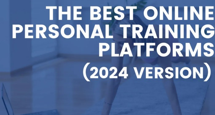 The Best Online Personal Training Platforms (2024 Version)